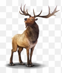 Lawrence Elk - Group Vbs Tools Rocky Railway Elk Png,Elk Png