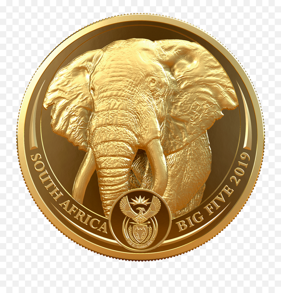 Big Five - Elephant 1 Oz Emkcom South African Gold Coin Png,Elephants Png