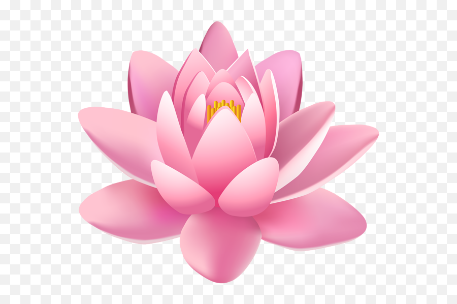Lotus Flower Png - Transparent Background Lotus Transparent,Lotus Flower Png