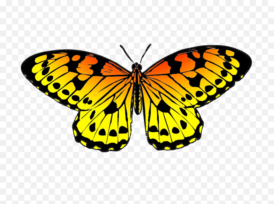 Butterfly Png Clipart Images Free Transparent U2013 - Butterflies Yellow Cartoon,Butterfly Png Images