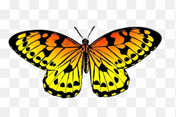 Butterfly Png Clipart Images Free Transparent U2013 - Butterflies Yellow Cartoon