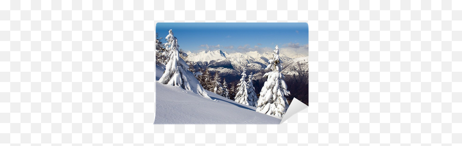 Winter Forest In The Alps After A Snowfall Wall Mural U2022 Pixers - We Live To Change Summit Png,Snowfall Png