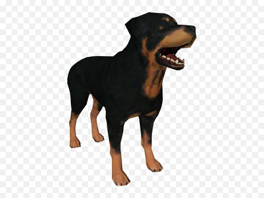 Rottweiler Puppy Dog Breed Snout - Rottweiler Png Transparent,Rottweiler Png
