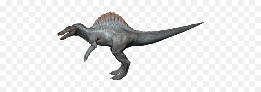Updates Spinosaurus - Spine Osaurus Transparent Background Png,Spinosaurus Png