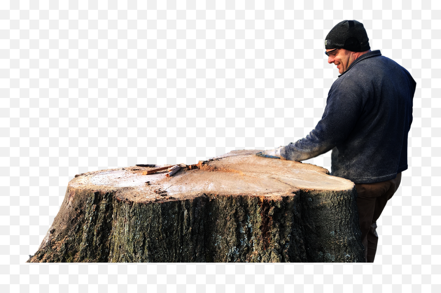 Download Arts And Crafts - Tree Stump Png,Stump Png