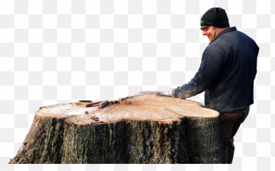Download Arts And Crafts - Tree Stump Png,Stump Png