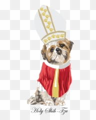 Illustration U2014 Robert Decker Illustrator Png Shih Tzu