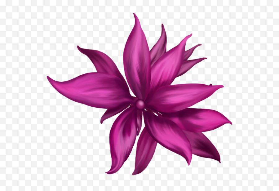 Pink Flower Graphic - 3d And 2d Art Sharecg Dibujos De Flores Bidimensionales Png,Flower Graphic Png
