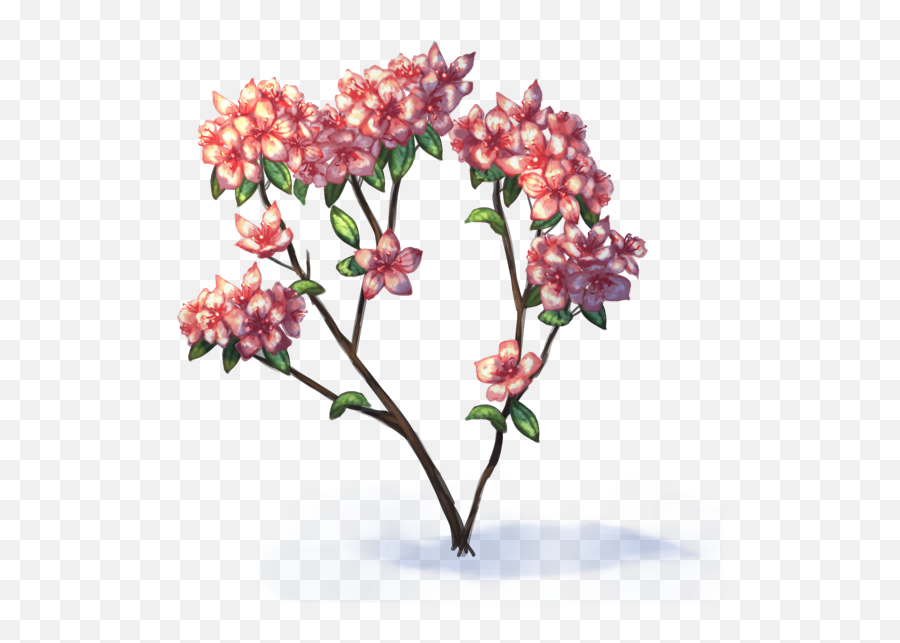 Using The Transform Masks - Azalea Flowers Drawing Png,Krita Icon