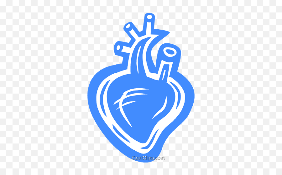 Human Heart Royalty Free Vector Clip - Graphics Png,Anatomical Heart Png