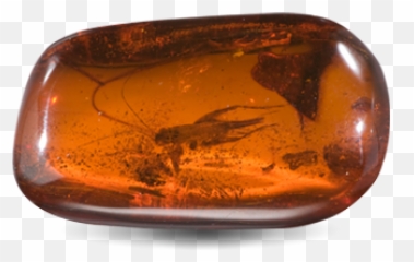 Amber Gemstone Stone - Gia Amber Gem Png,Gemstone Png