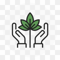 Premium Cannabis Products By 420 Kingdom - 420 Kingdom Compassion Clipart Png,Icon Oildale