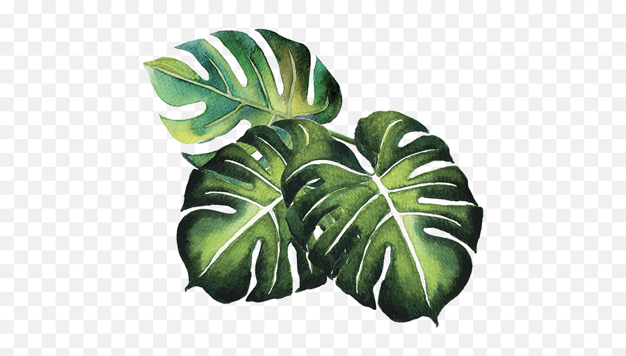 Tropical Plants Alpha Png - Leaf In Yourself,Tropical Plants Png