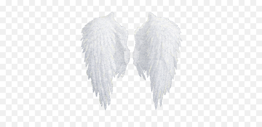 Download Hd White Wings Png Psychic - Angels Wings,White Wings Png