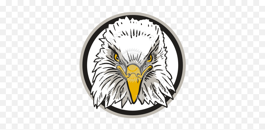 Picture - Eagle Head Front View Png,Eagle Head Logo
