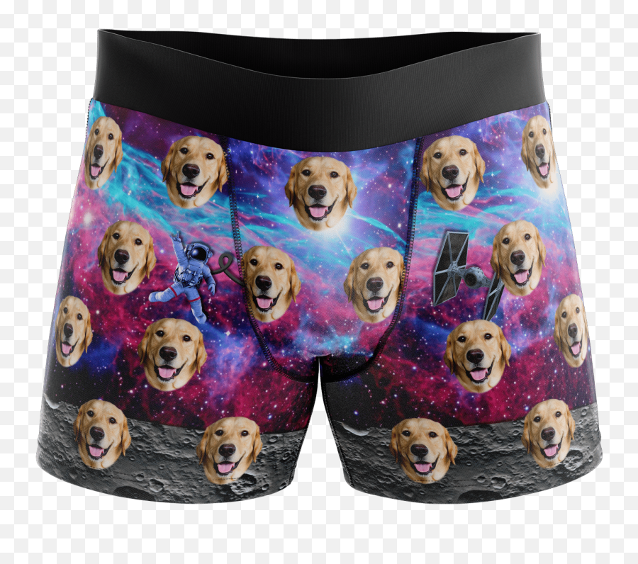 Download Put Your Face - Galaxy Puppys Full Size Golden Retriever Png,Boxers Png