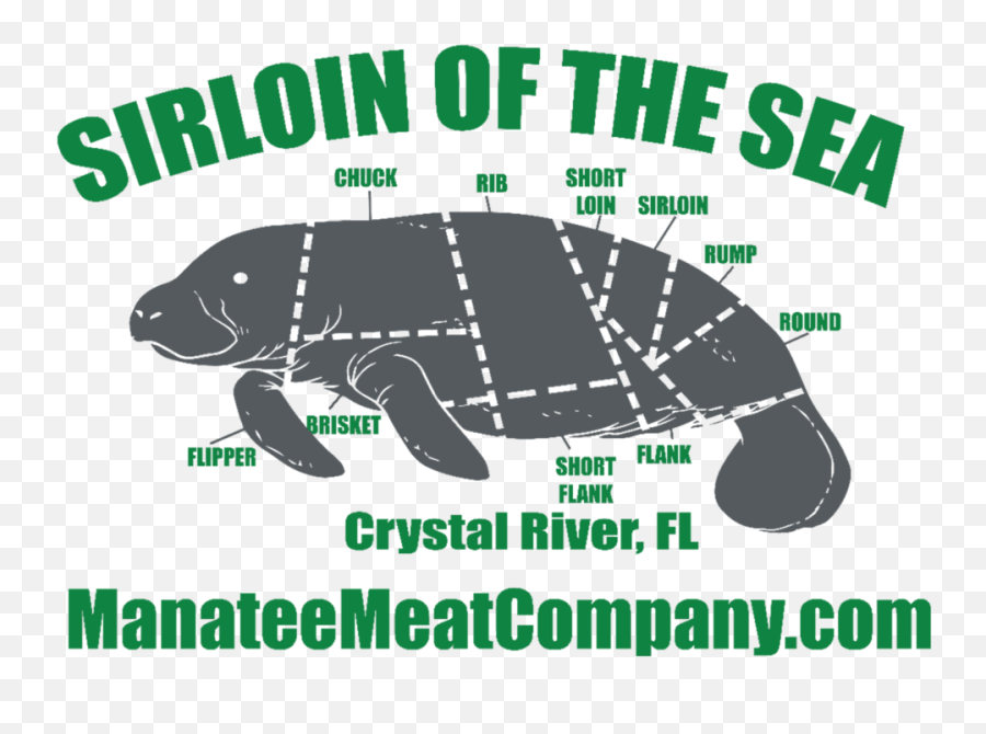 Download Manatee Meat Company - Green Company Png Image With Turtle,Manatee Png