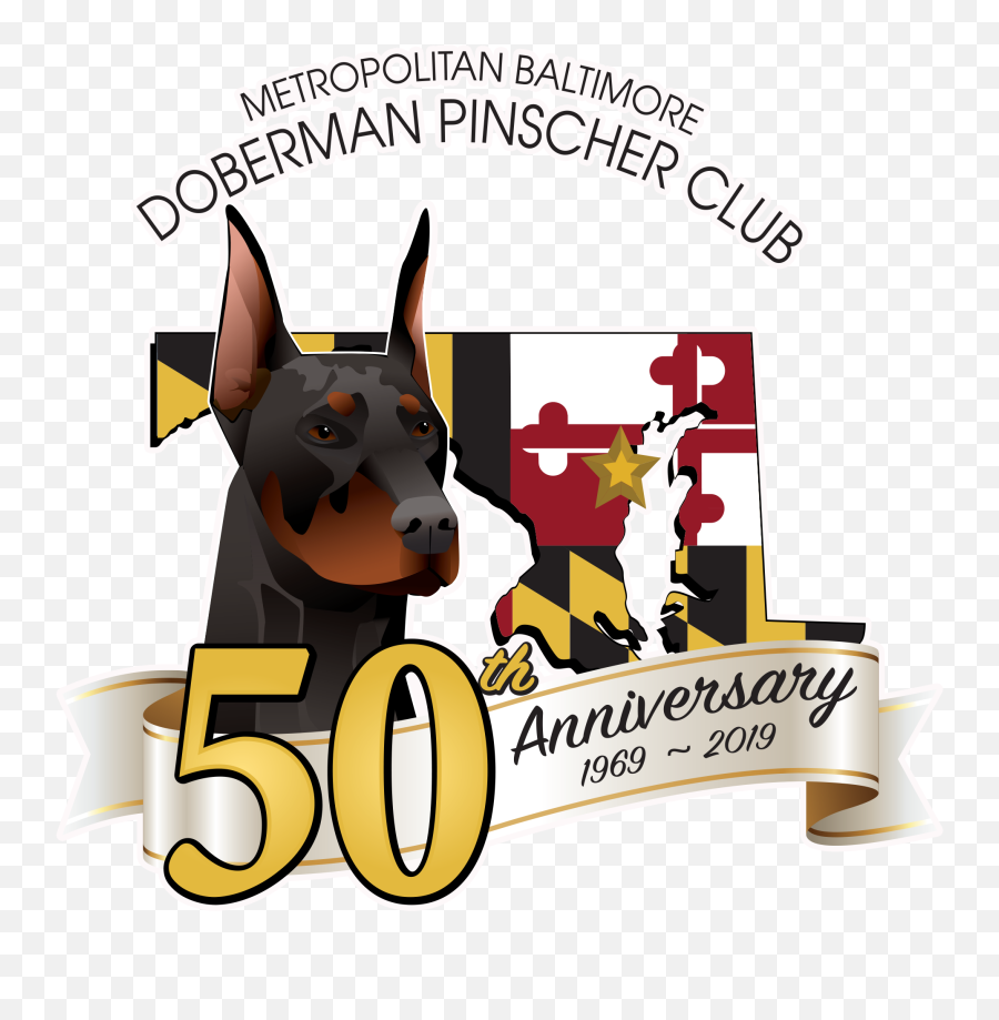 Metropolitan Baltimore Doberman Pinscher Club - Metropolitan Dobermann Png,Doberman Png