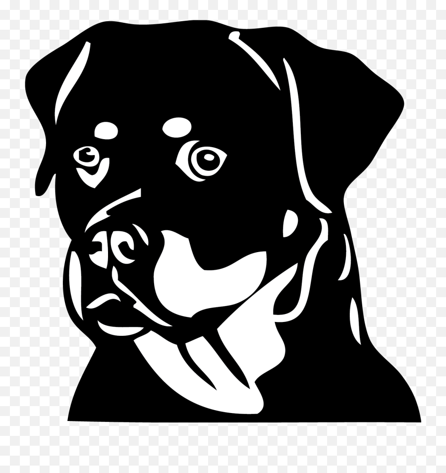 Dh11 Rottweiler - Rottweiler Black And White Png,Rottweiler Png