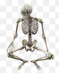 Skeleton Png