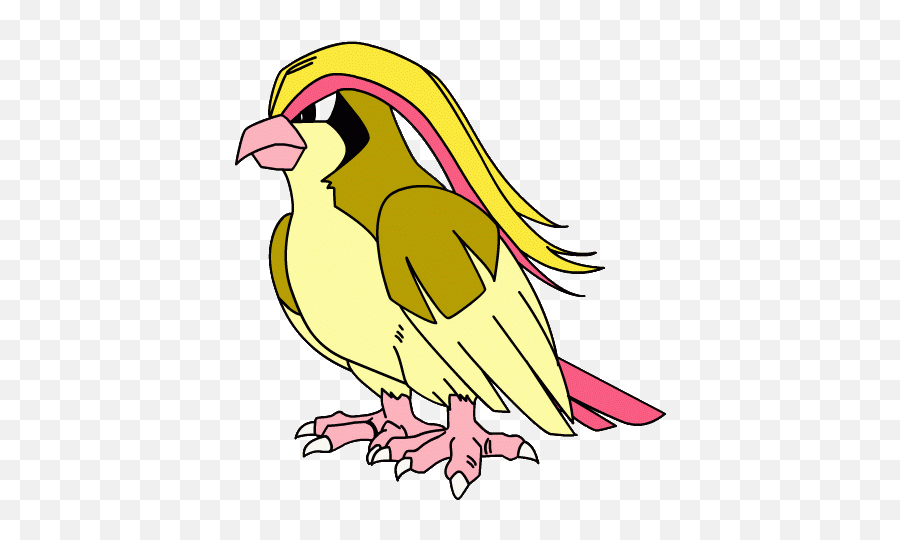 Pidgey Pidgeotto Pidgeot - Pokemones Pidgeot Png,Pidgey Png