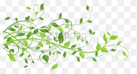 Free Png Spring Border Image - Transparent Leaves
