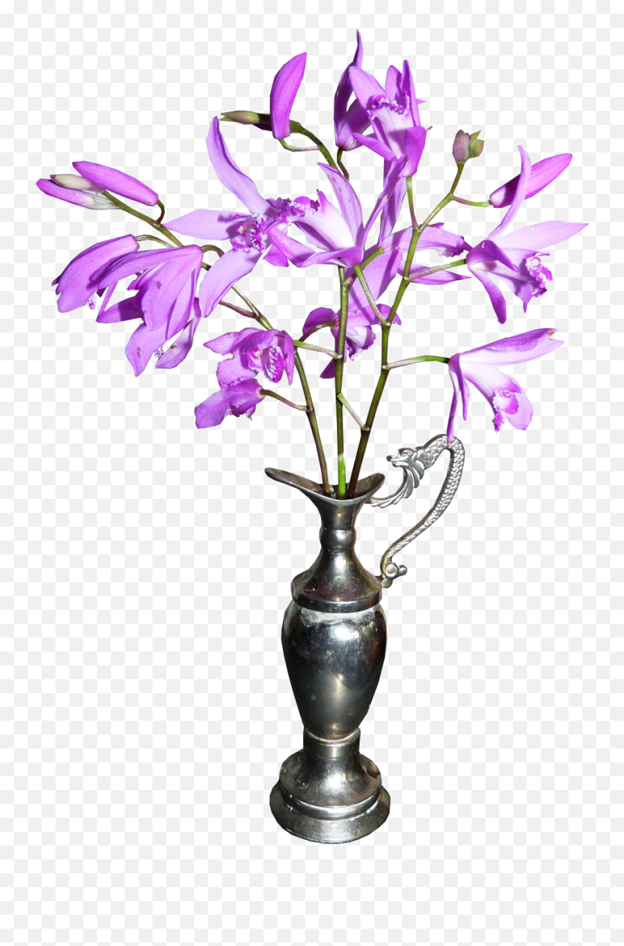 Orchid Png Image - Tulip Vase,Orchid Png