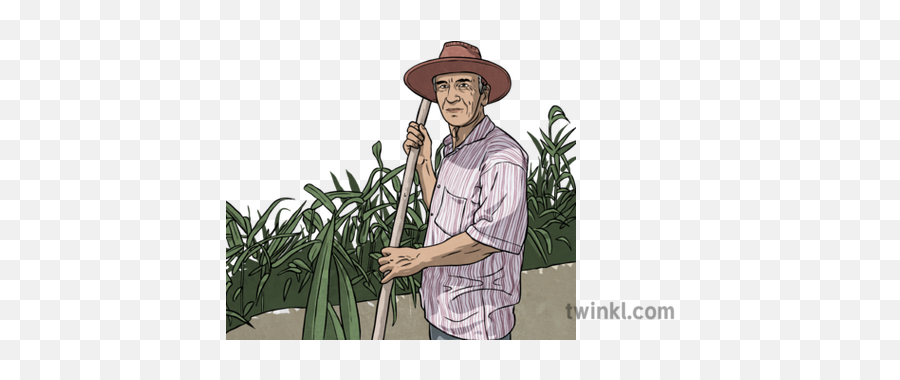 Turkish Farmer Illustration - Twinkl Farmer Illustration Png,Farmer Png