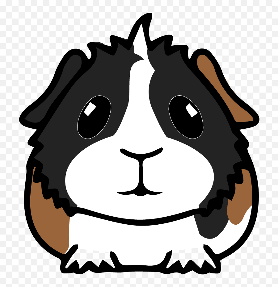 How My Guinea Pig Augustus Kick Started - Easy Cartoon Guinea Pig Png,Guinea Pig Png