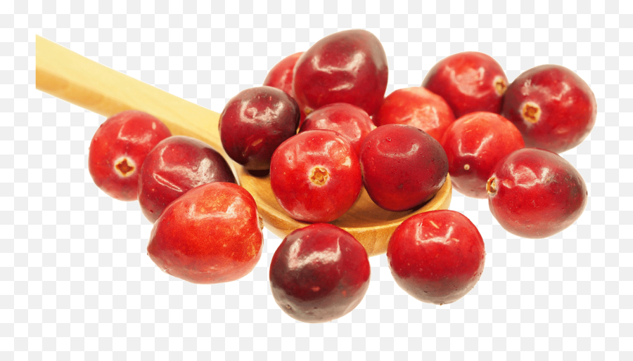 Chunky Cranberry Spread - Cranberry Joke Png,Cranberries Png