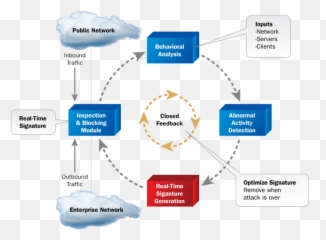 Radware Defensepro Ips Solutions - Vertical png