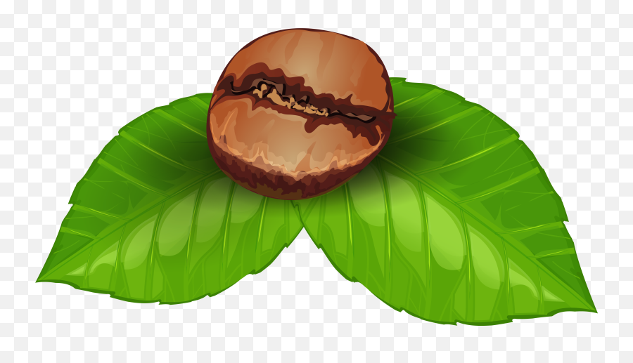 Coffee Bean Png Clipart Image - Coffee Bean Png Clip Art,Money Clip Art Png