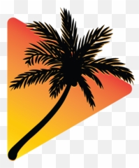 Get - Video Distribution Create Channel Three Coconut Palm Tree Silhouette png