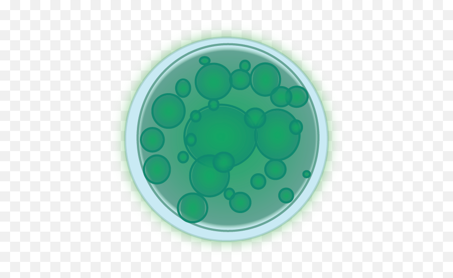 Algae Transparent Png Image - Circle,Algae Png