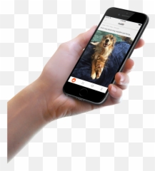 Reddit Launches Its First Official Apps For Ios And Android - Car Gps Tracker Png