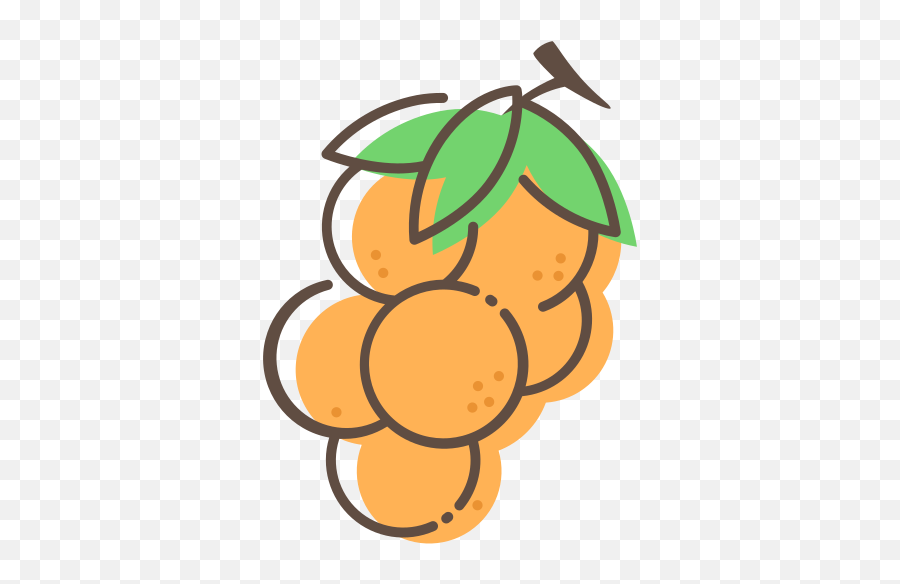 Longan Vector Icons Free Download In Svg Png Format Orange Fruit Icon