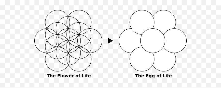D3 Flower Of Life - Flower Egg Of Life Png,Flower Of Life Png