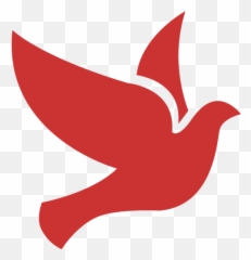 Persian Red Bird 2 Icon - Blue Transparent png