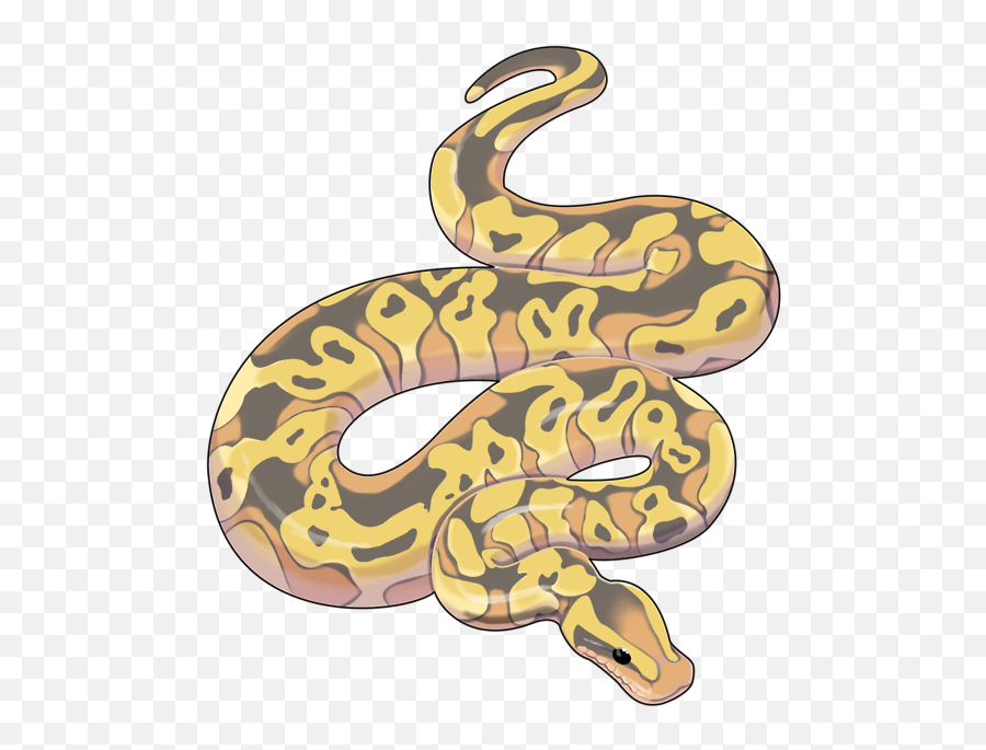 Snake Clipart Serpent Transparent Free For - Snake Art Png,Snake Transparent Background