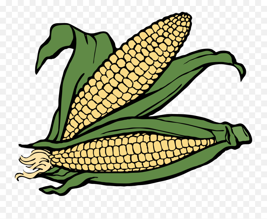 Corn Cob Ear - Clip Art Corn Png,Corn Cob Png