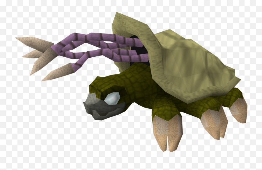 Warped Tortoise - The Runescape Wiki Warped Tortoise Png,Tortoise Png