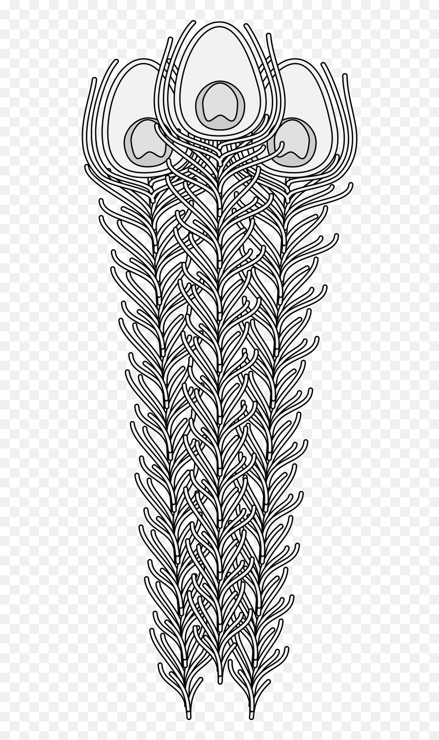 Peacock - Traceable Heraldic Art Fern Png,Peacock Feather Png