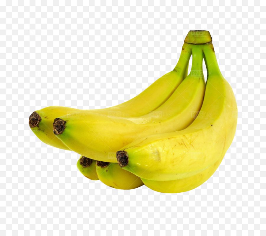 Bananas Png Free Download - Photo 114 Pngfilenet Free Saba Banana,Bananas Png