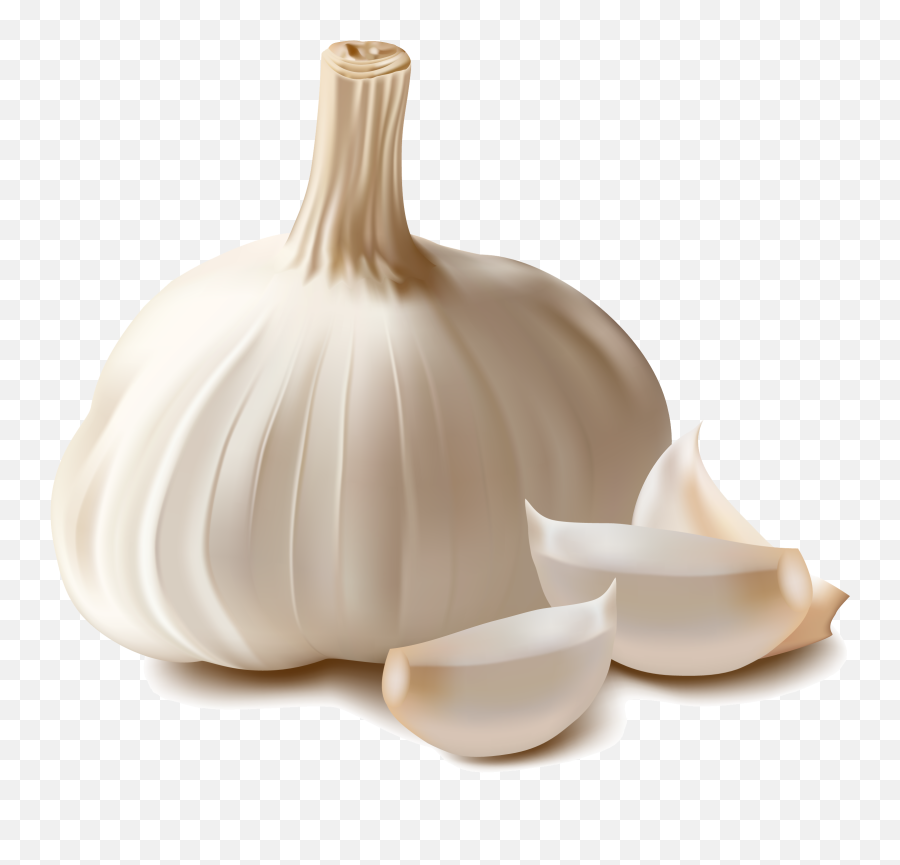 Garlic Icon Clipart - Garlic Png,Garlic Transparent Background