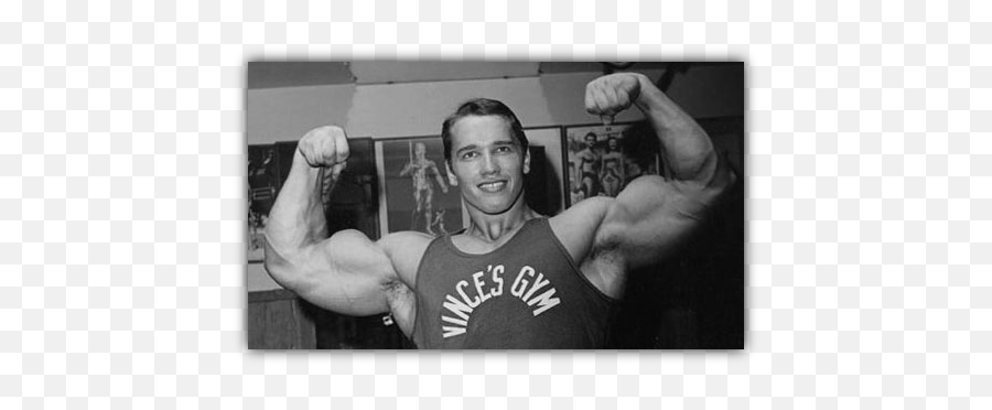 Arnold Schwarzenegger Bodybuilding - Arnold Schwarzenegger Bodybuilding Png,Arnold Schwarzenegger Png