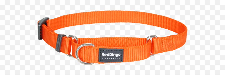 Classic Martingale Dog Collar Png