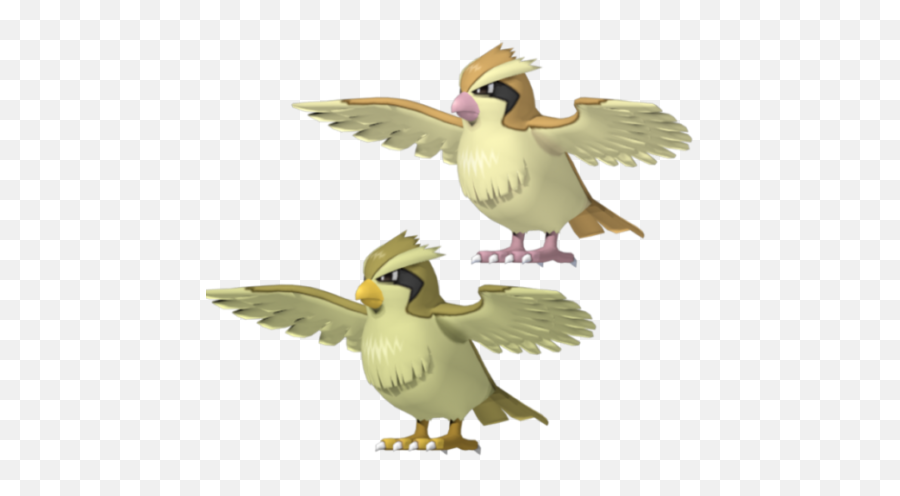 Pidgey Pokemon Character Free 3d Model - Duck Png,Pidgey Png