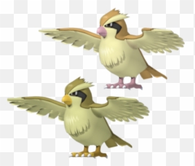 Pidgey Pokemon Character Free 3d Model - Duck Png,Pidgey Png