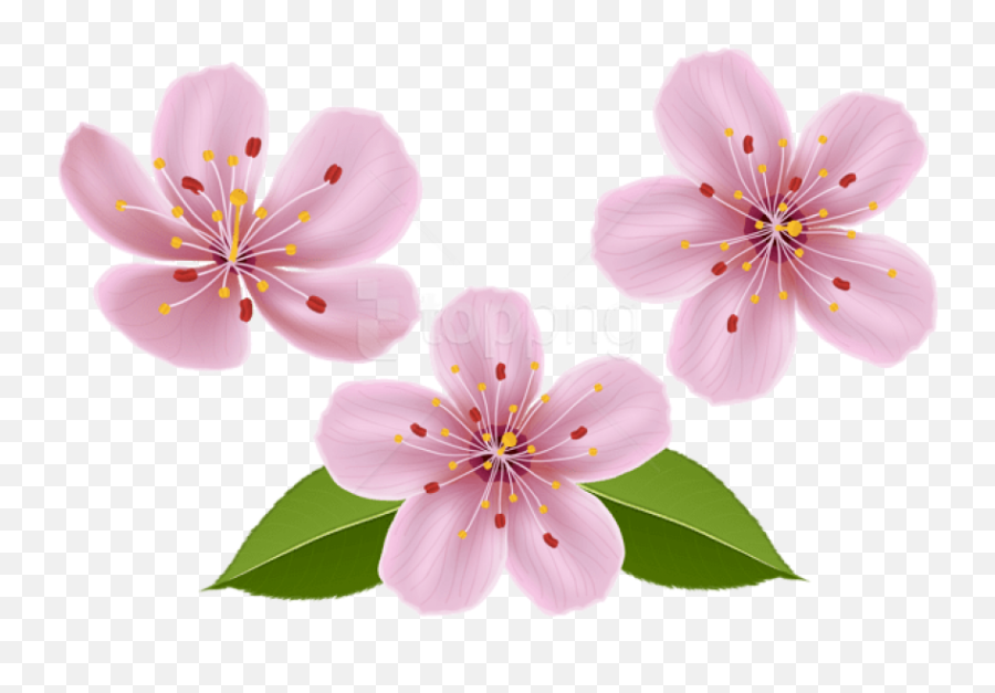 Spring Flowers Png Images Background - Transparent Background Flower Images Clipart,Spring Background Png