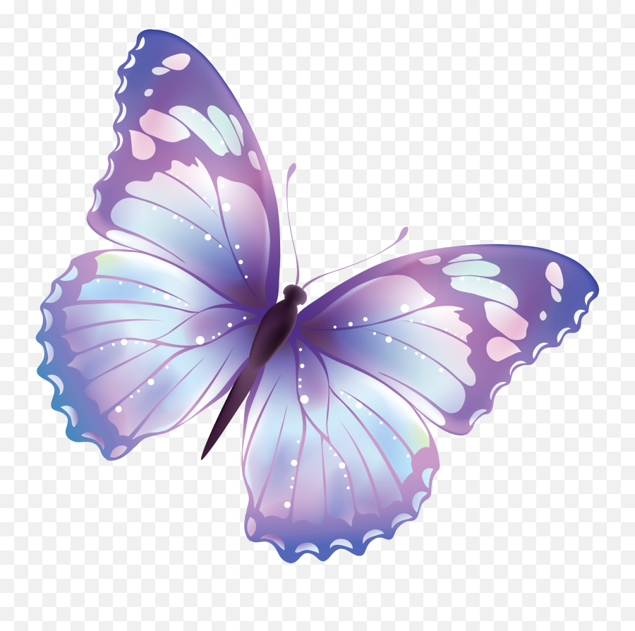 Large Clip Butterfly Transparent Png - Transparent Background Butterfly Clipart Transparent,Butterfly Transparent